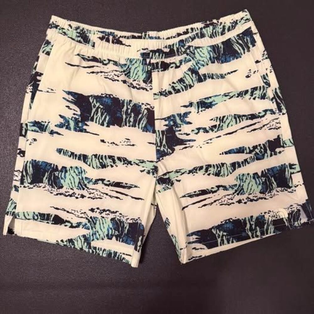The North Face large Men's Swim Shorts